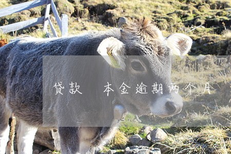 贷款 本金逾期两个月 贷款 本金逾期两个月